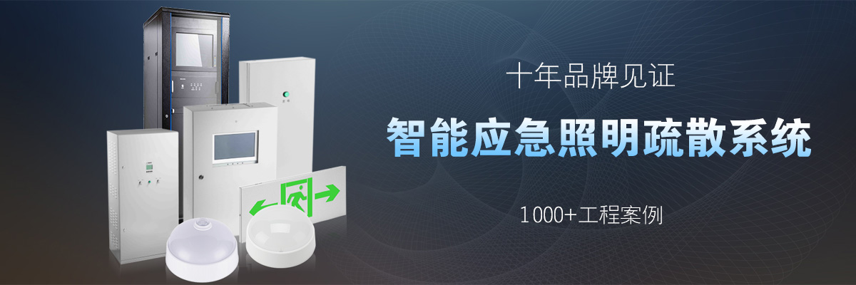 集中控制ZD-D-0.25KVA、ZD-D-0.3KVA